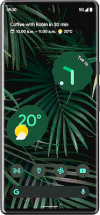Accessories for the Google Pixel 6 Pro 5G